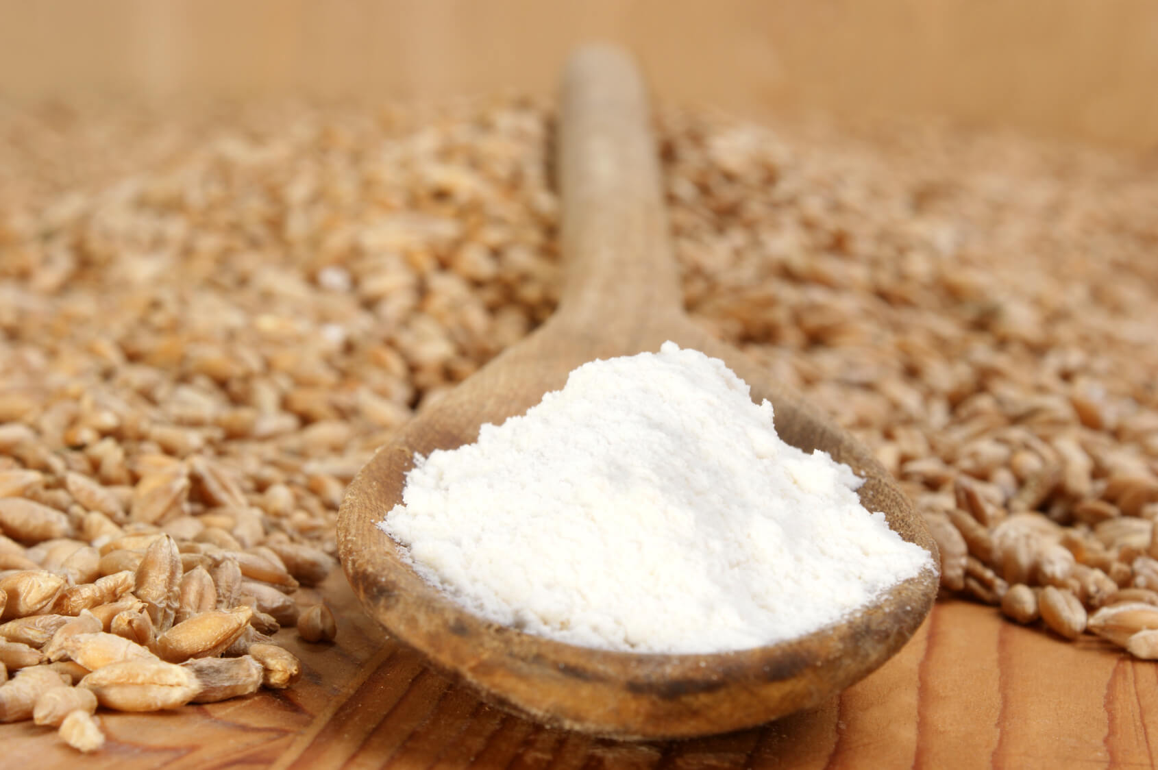 Wheat Starch Ba ar Ticaret